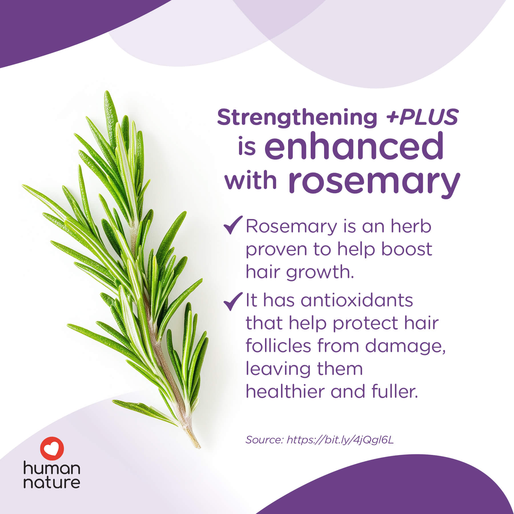 Strengthening +PLUS Conditioner - Image 3